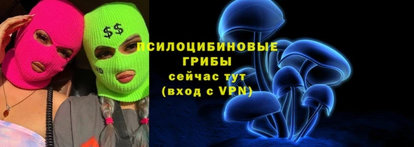 ешки Каменск-Шахтинский