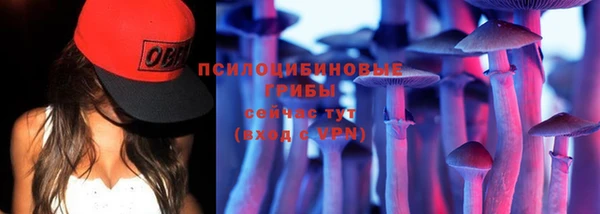 герыч Каменка