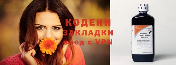 шишки Инсар