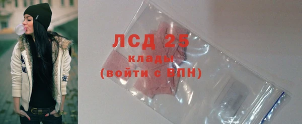 шишки Инсар
