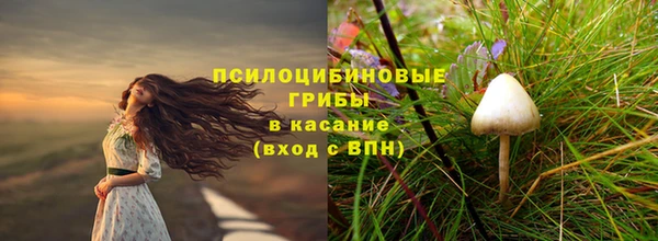 синтетический гашиш Каменногорск