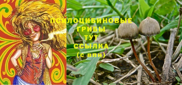 шишки Инсар