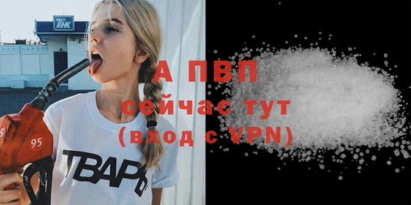 шишки Инсар
